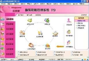 金商家T9服裝軟件 財(cái)務(wù)與行業(yè)管理ERP產(chǎn)品市場調(diào)查分析