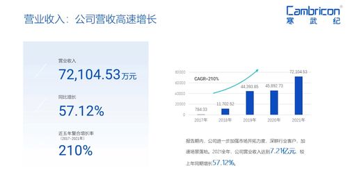 深耕行業(yè)客戶，寒武紀(jì)加速場景落地的軟件開發(fā)新策略