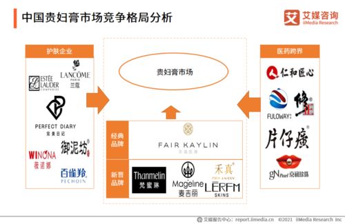 2020-2021年中國貴婦膏市場品牌分析及用戶調(diào)研報(bào)告